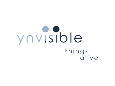 Ynvisible Interactive